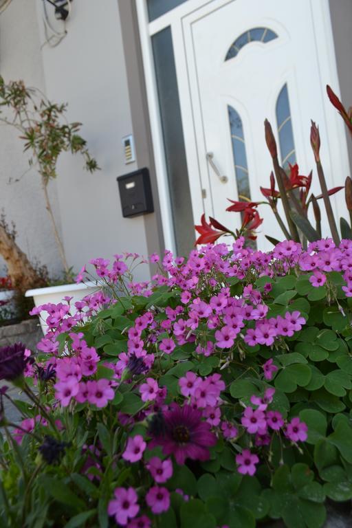 Amalia'S Apartments Kissamos Ngoại thất bức ảnh